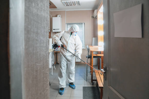 Why You Should Choose Our Mold Remediation Services in Fritz Creek, AK